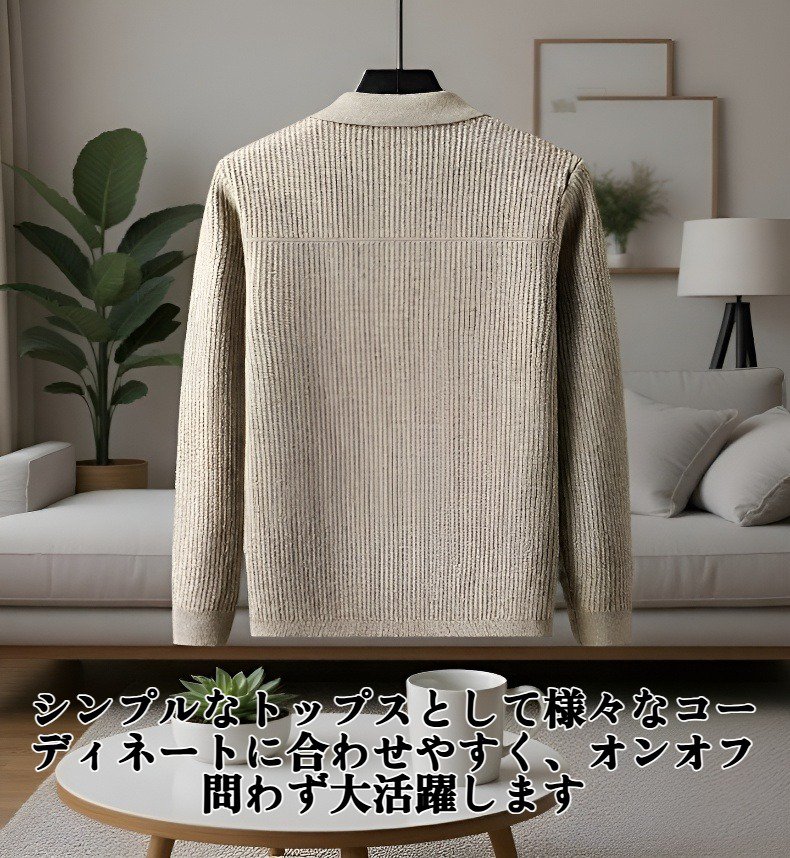 春秋向けメンズラペルセーター正面写真