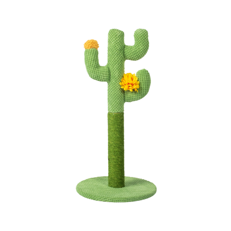 Arbre à chat cactus