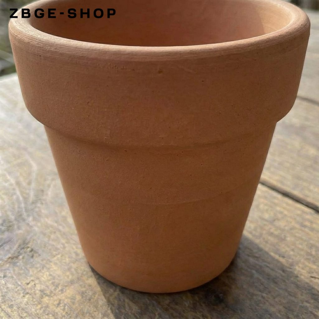 Dekorativer Mini-Pflanztopf im Wohnzimmer