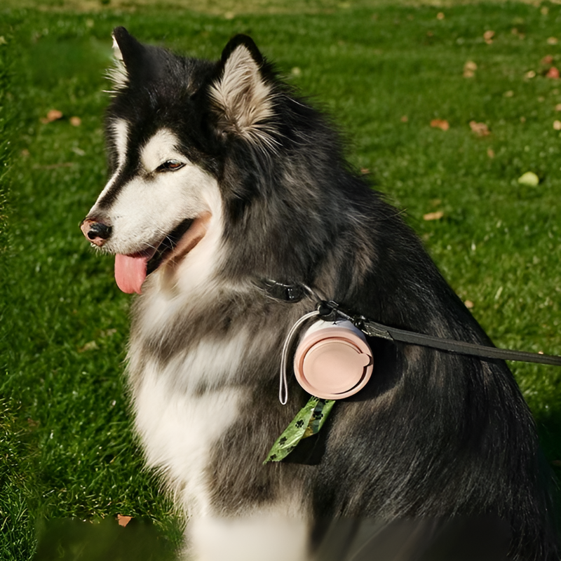 Bol pliable multifonction en silicone avec étui portable