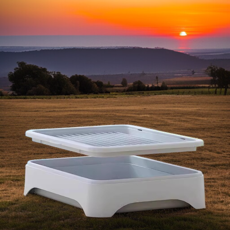 水耕栽培のキャットグラス鉢植え