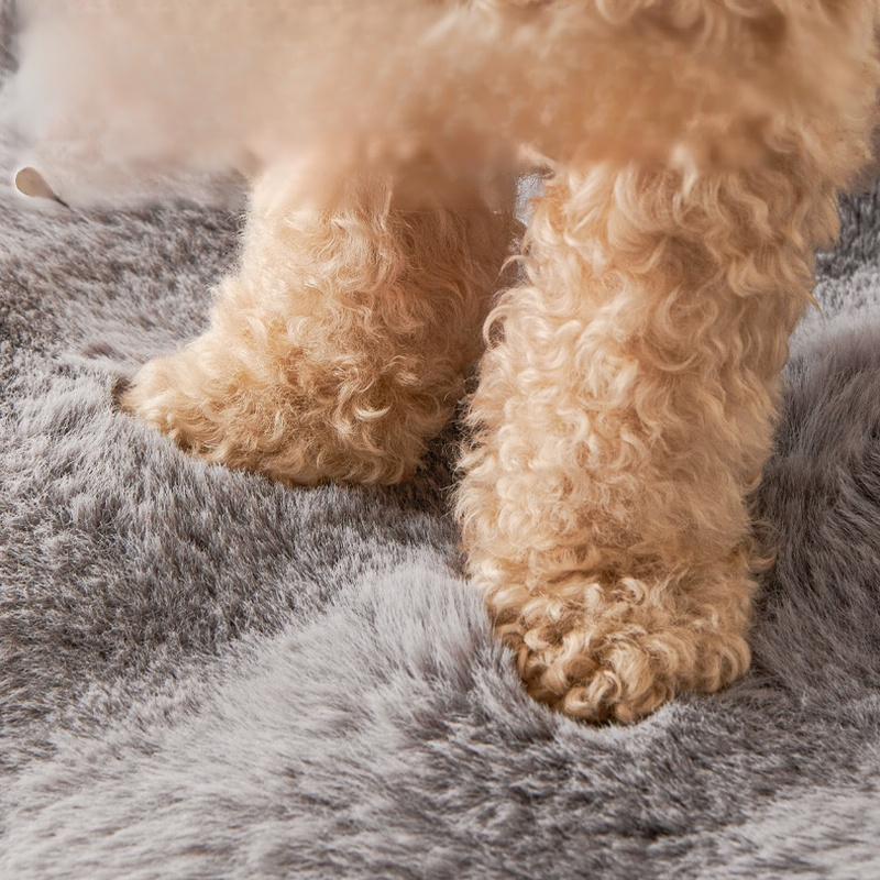 Tapis pour animaux résistant à l'usure