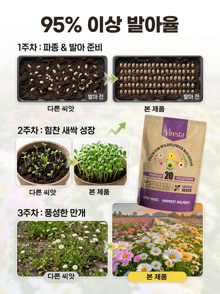 【24만명 구매】재배가 쉬운 혼합 꽃 씨앗