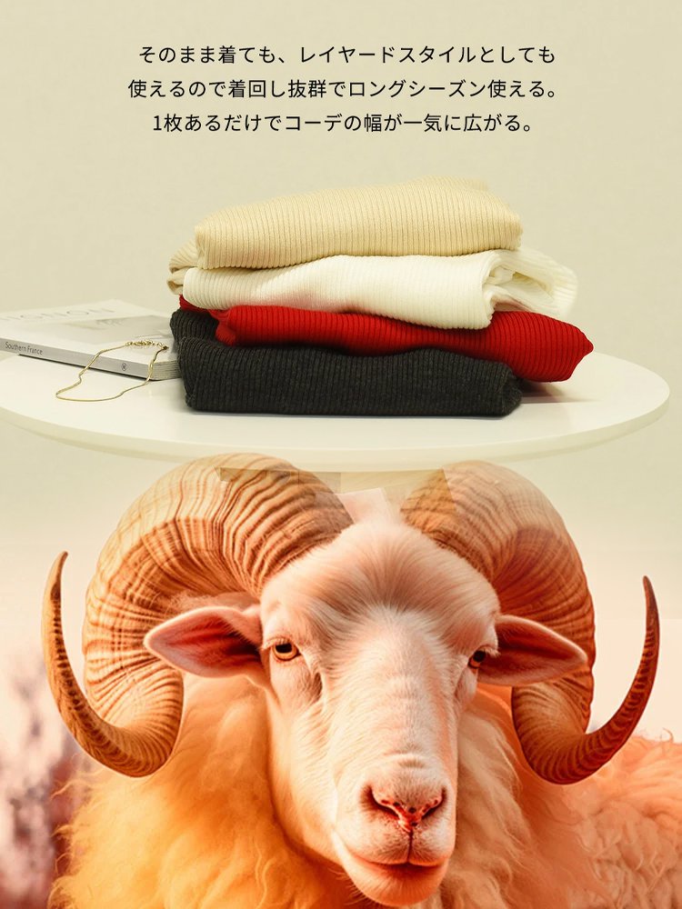 【尾州の百年の織物工場製作】タートルネック ドルマンスリーブ ニット