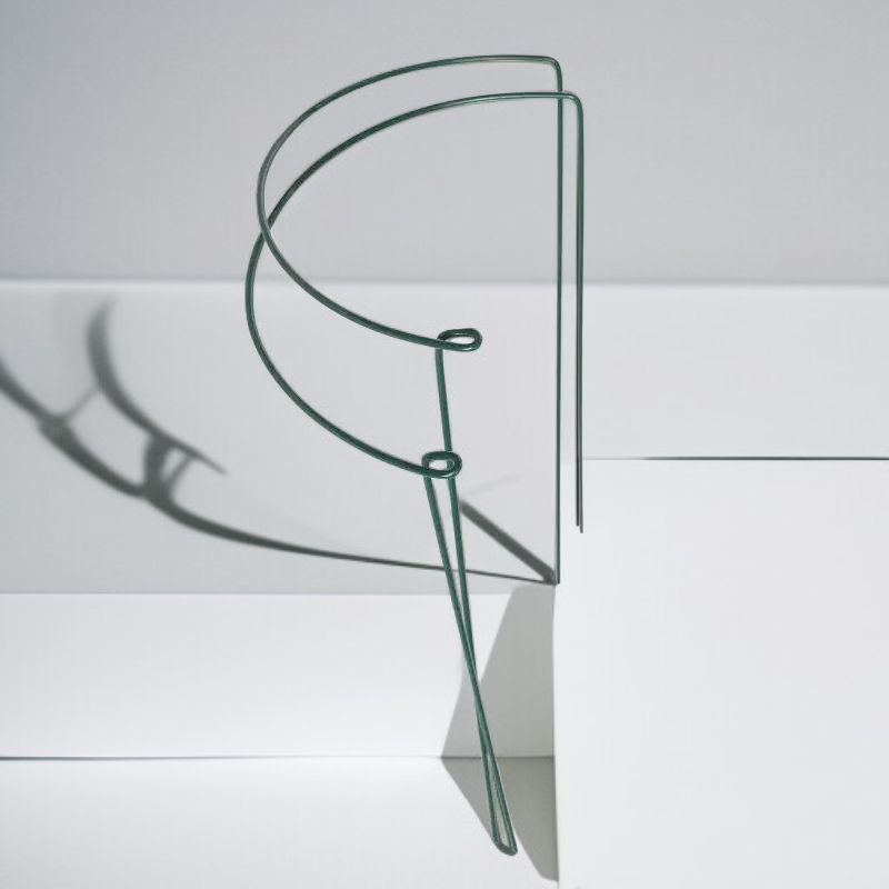 حامل نبات حلقي داعم