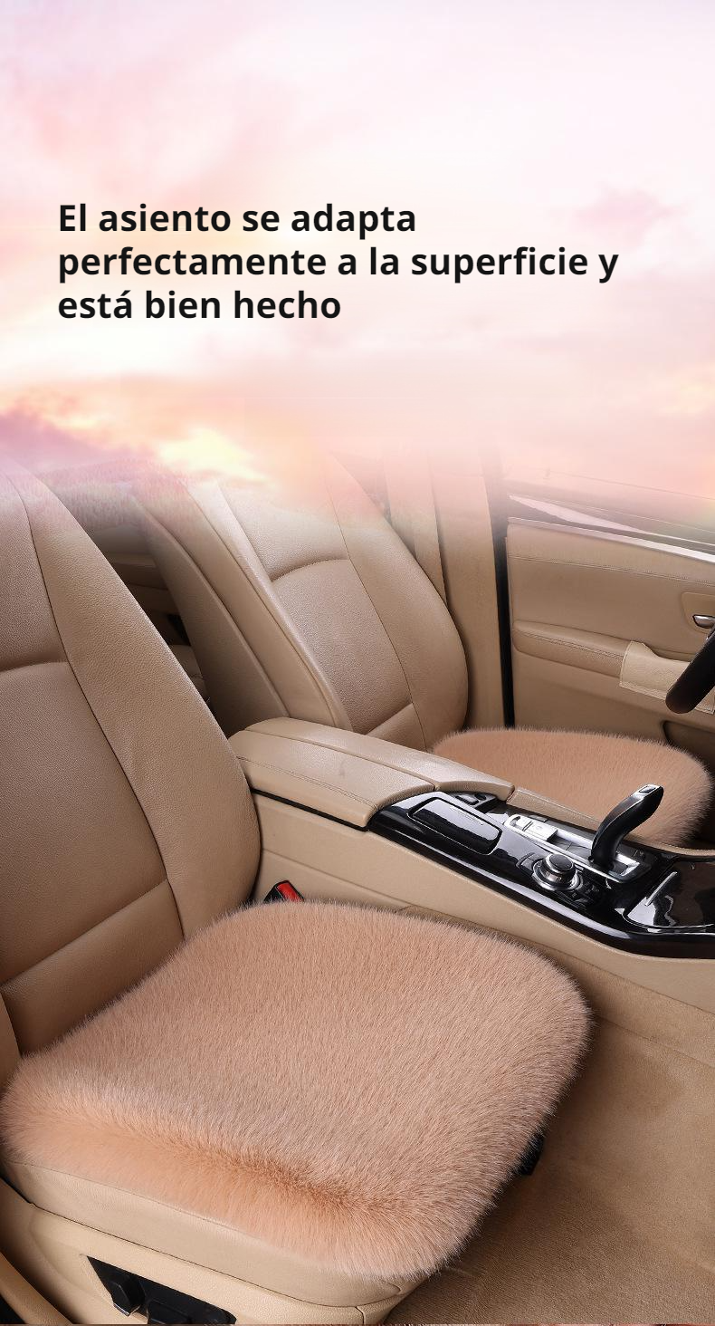 Cojines de invierno elegantes y cómodos para auto