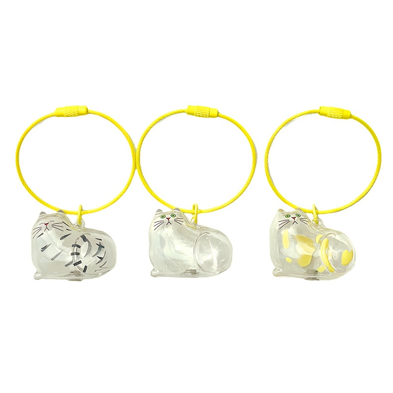 Porte-clés bouteille transparente de conservation de poils, souvenir pour animaux