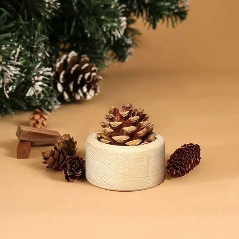 Dekoration mit Kiefernzapfen-Diffusor