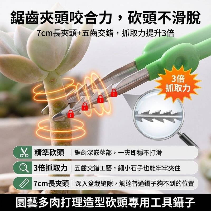 多肉植物或夾取物品的鉗子