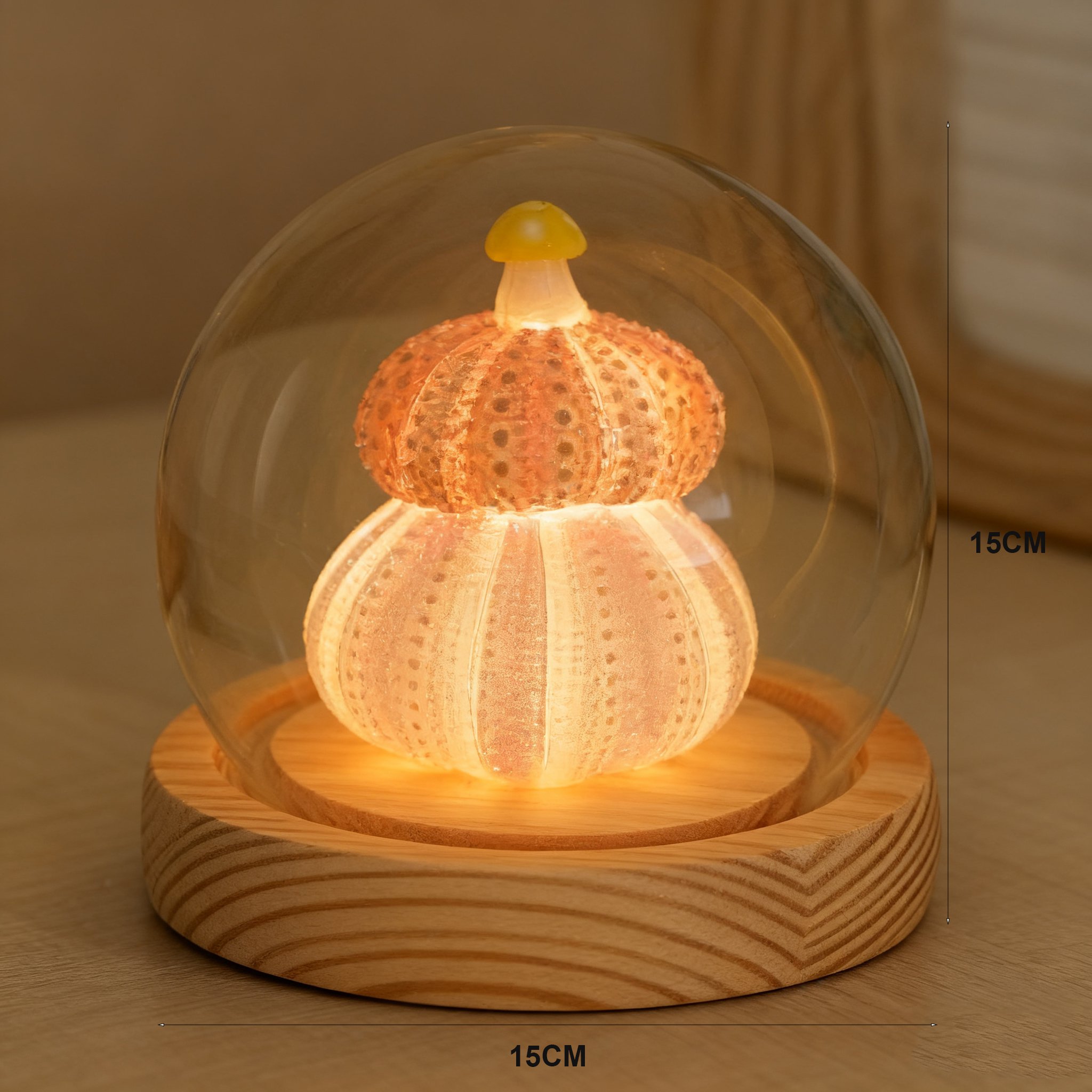 Handgefertigte Seeigel Nachtlicht Lampe als Meeresdeko