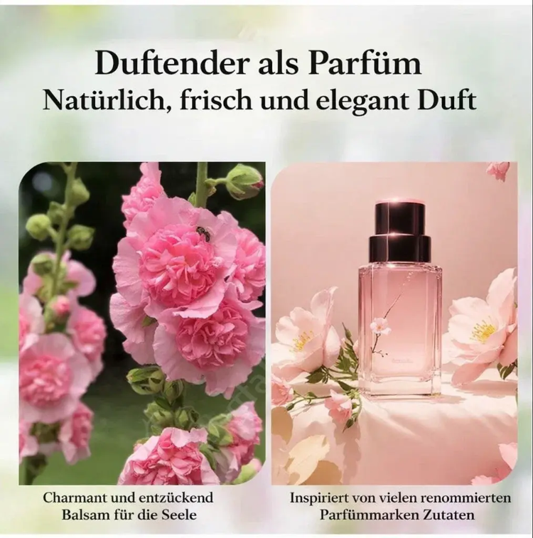 Stockrosen Samen im Frühling aussäen