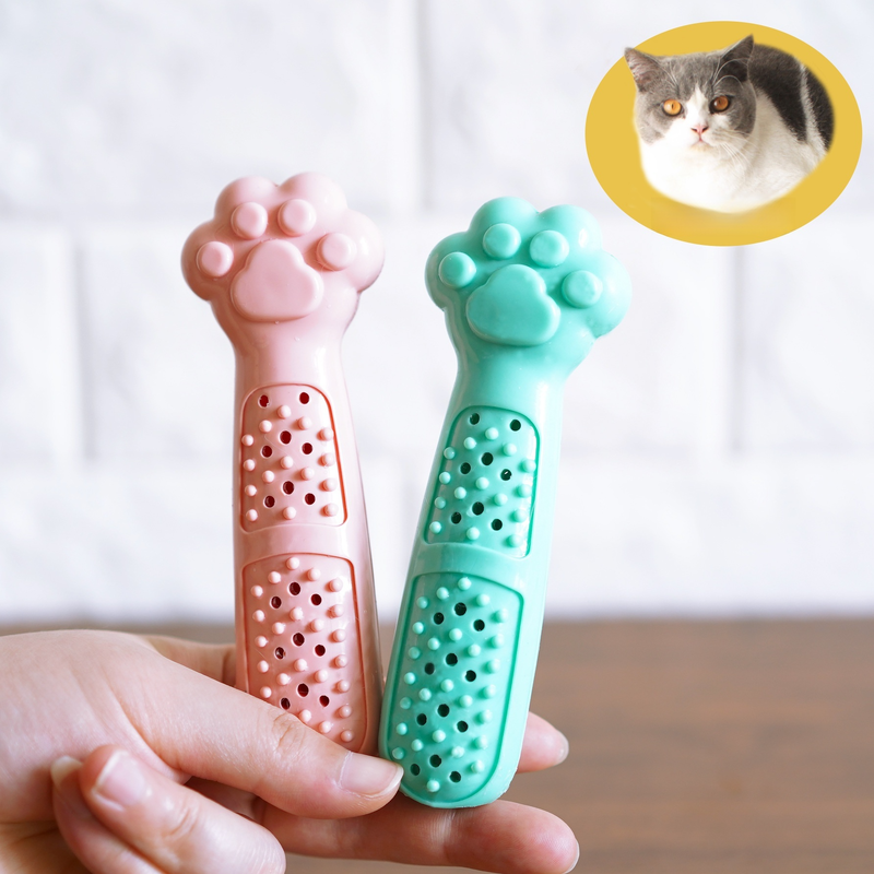 Jouet nettoyant pour dents avec herbe à chat