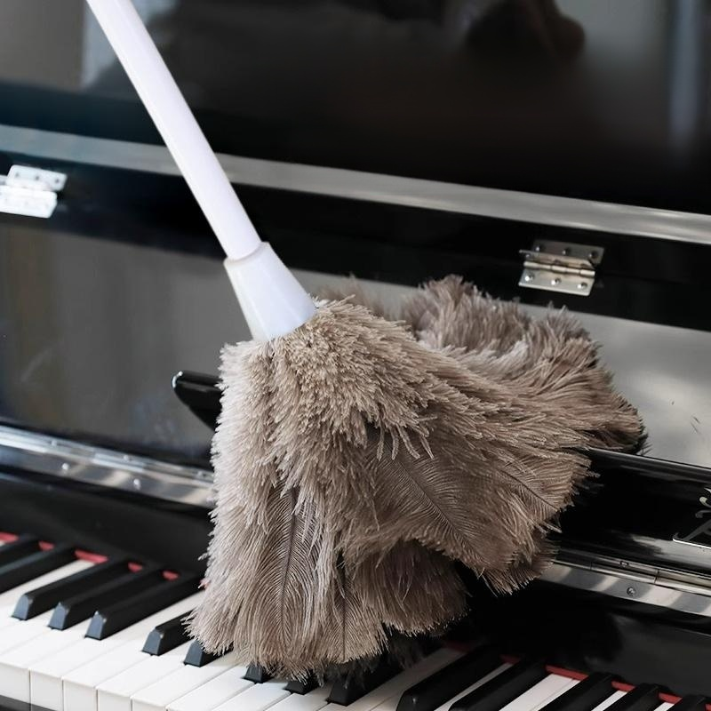 Staubwedel aus Straußenfedern