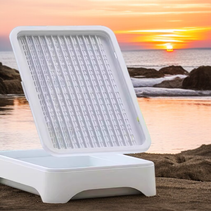 水耕栽培のキャットグラス鉢植え