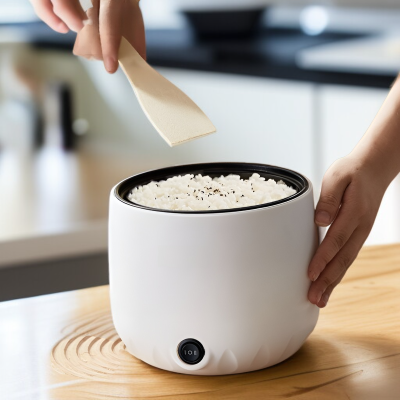 Multifunctional household electric cooker