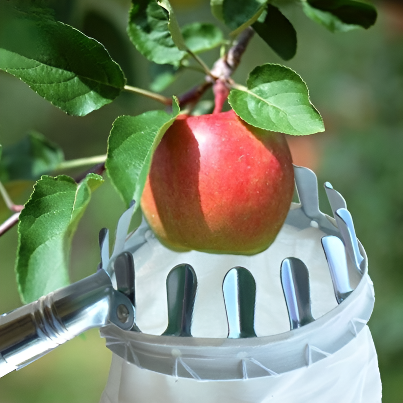 伸縮ポール式フルーツピッカー