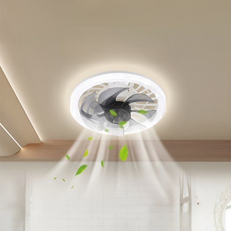 Room Fan Light, Living Room Fan Light