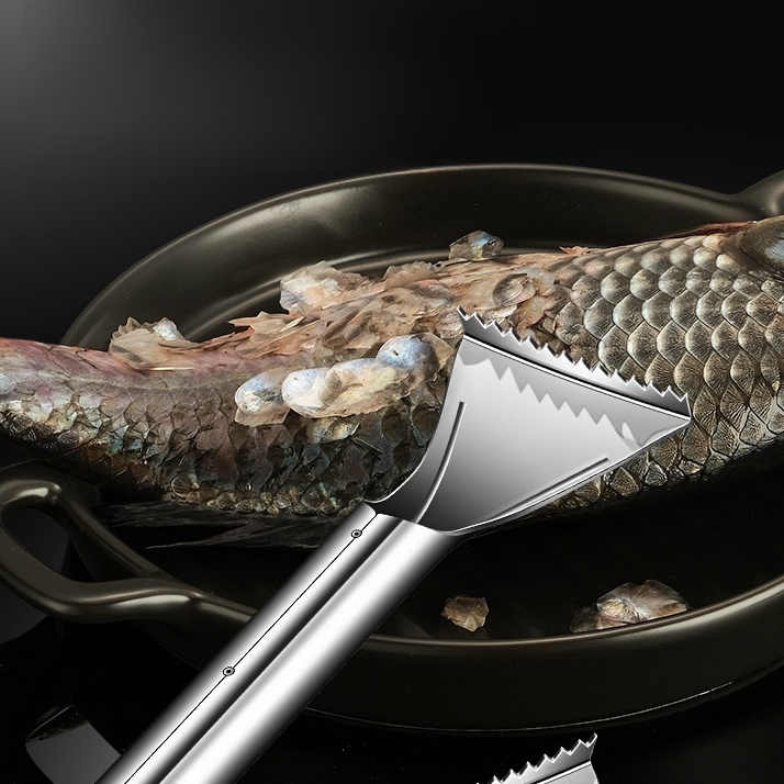 ที่ขูดเกล็ดปลาสแตนเลสสำหรับใช้ในบ้าน