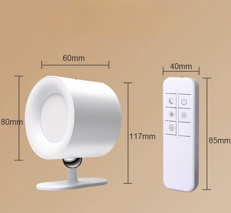 Remote Control Reading Table Lamp