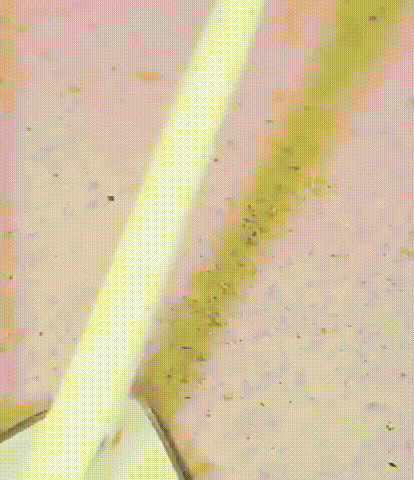 14-260309661225730465.gif