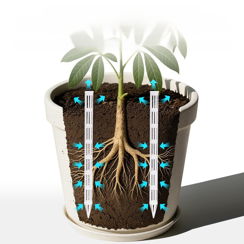 通気性抜群の鉢、根腐れ防止