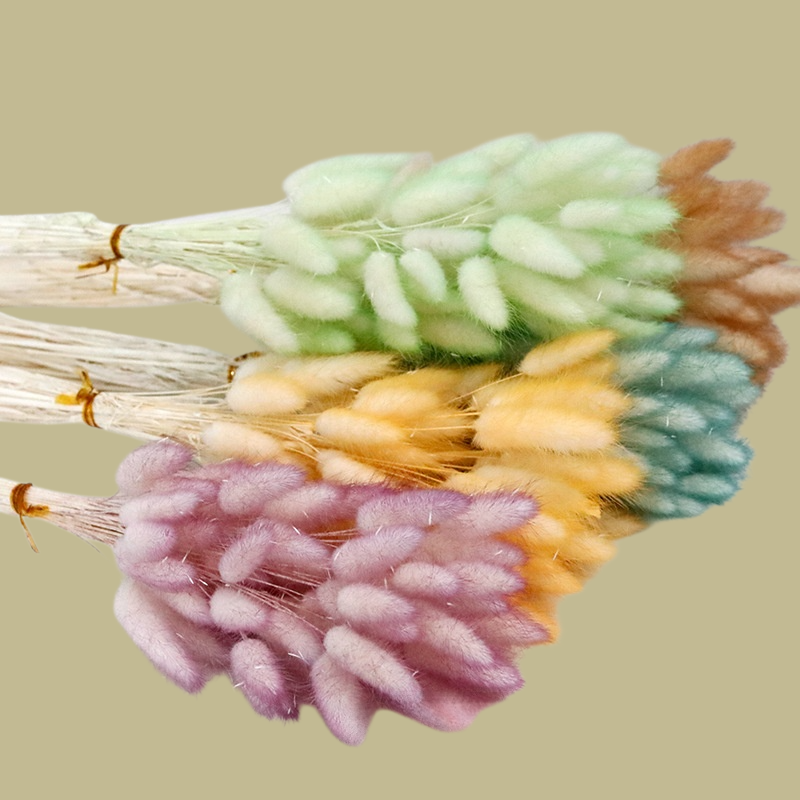 컬러 천연 강아지풀 꽃다발 