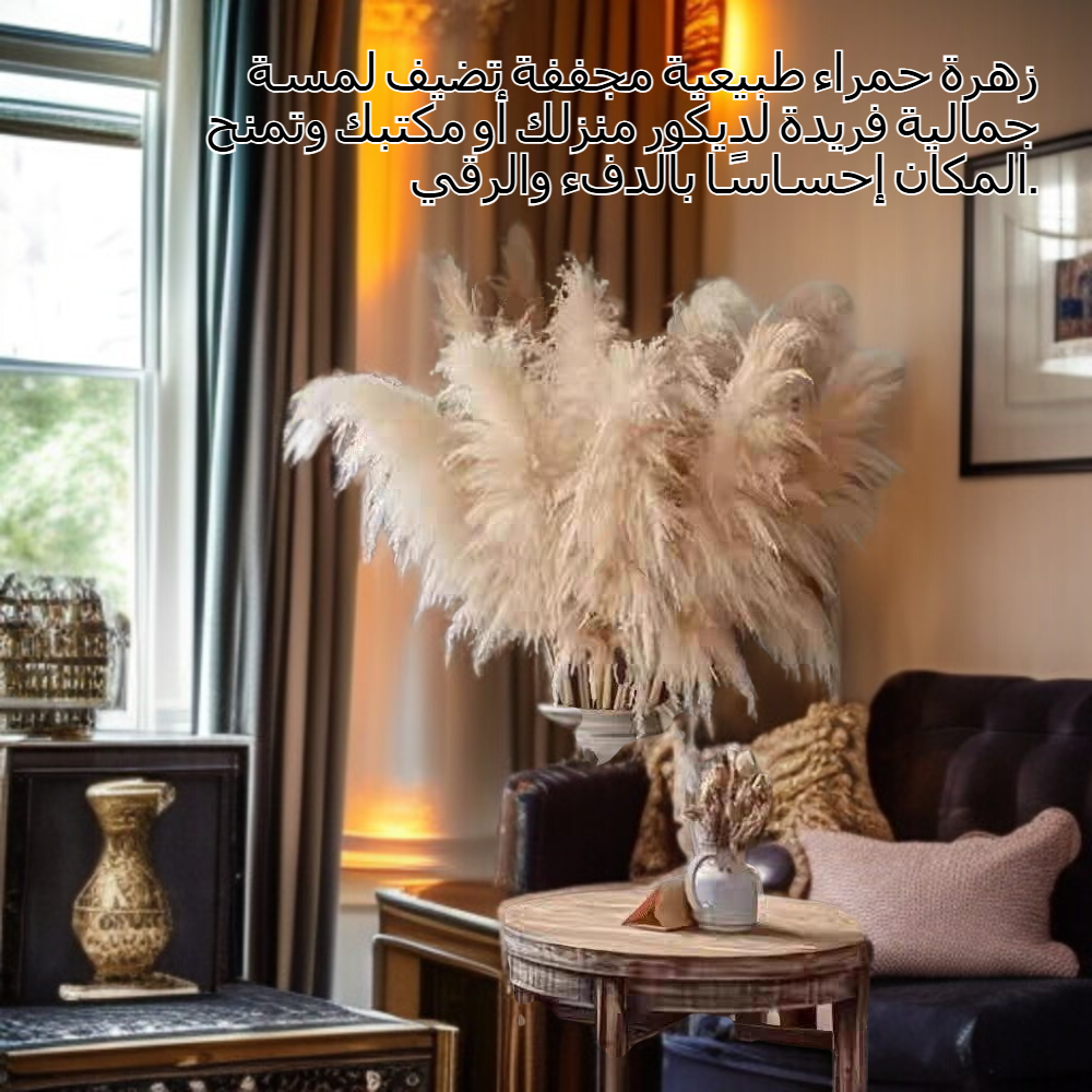 ريد زهرة حقيقية الزهور المجففة الديكور