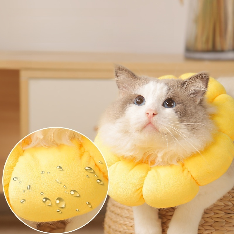 Collier Elizabeth pour animaux