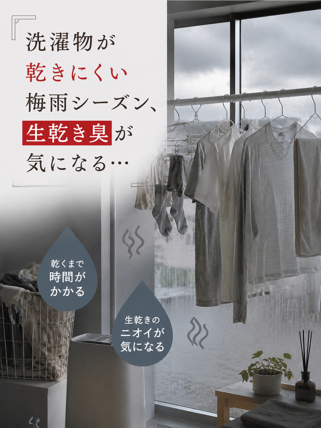LP-02.png