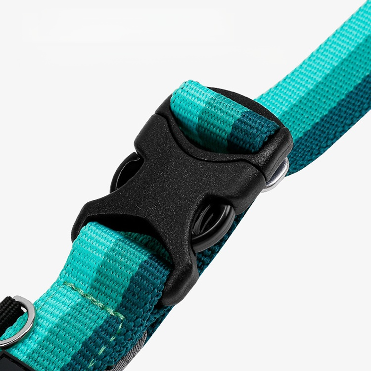 Quick-dry Stretchable Dog Leash Waist Belt