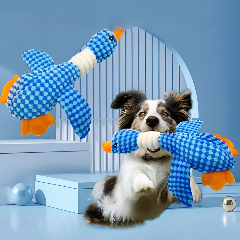 狗狗寵物玩具