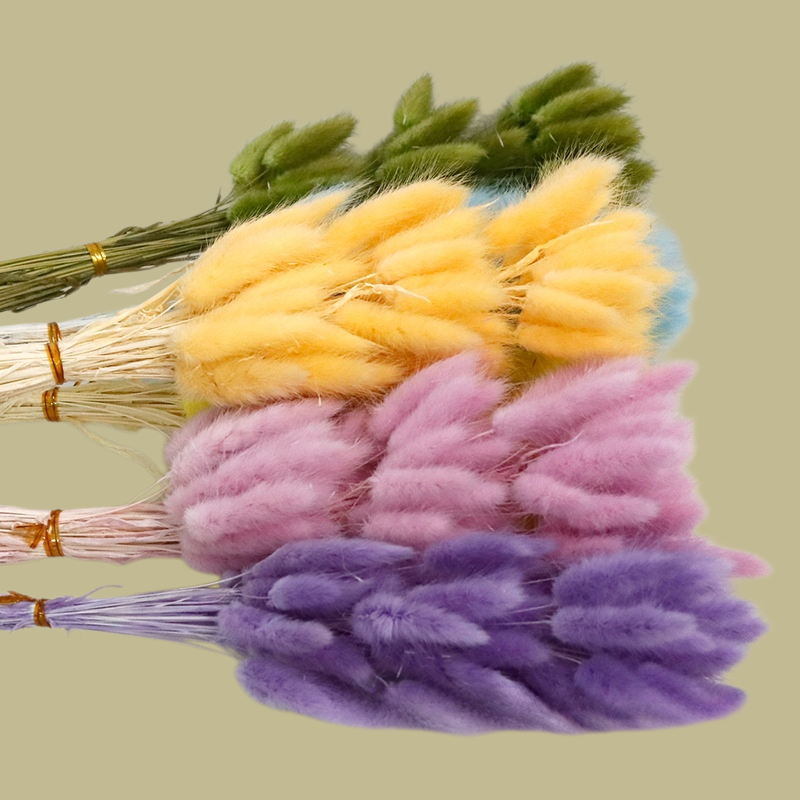 컬러 천연 강아지풀 꽃다발 