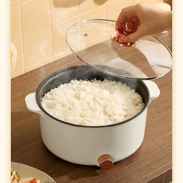 Smart Cooking Electric Pot