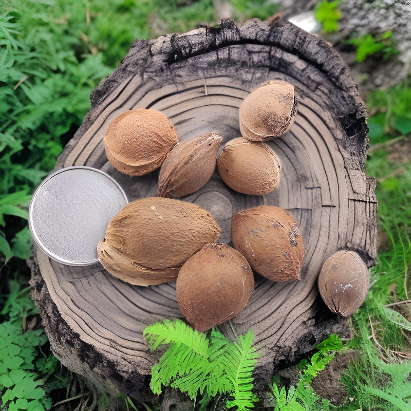 엄선된 가행 산살구씨