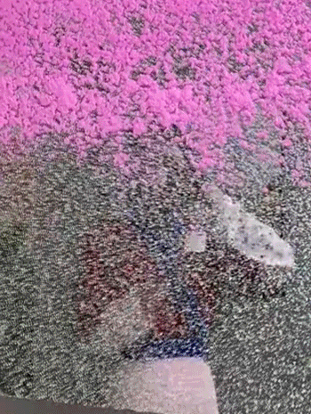 011.gif