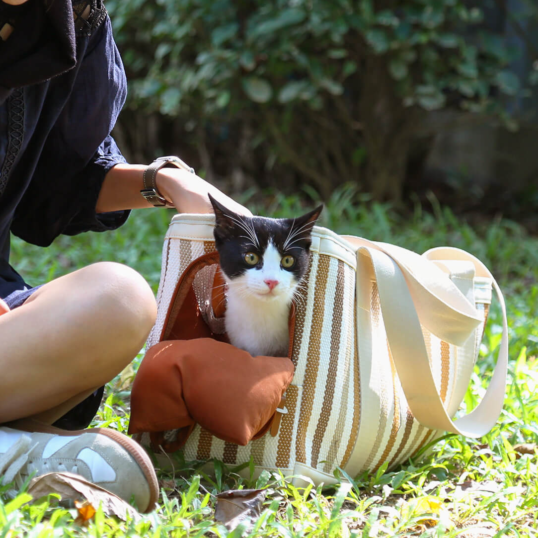 Multifunctional Pet Carrier Bag