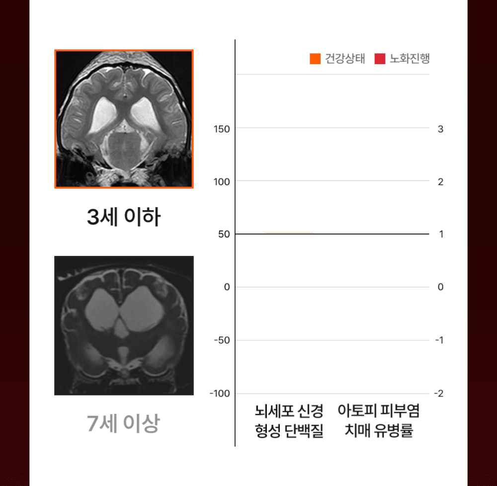 16_tg_om_dog_gif (1).gif