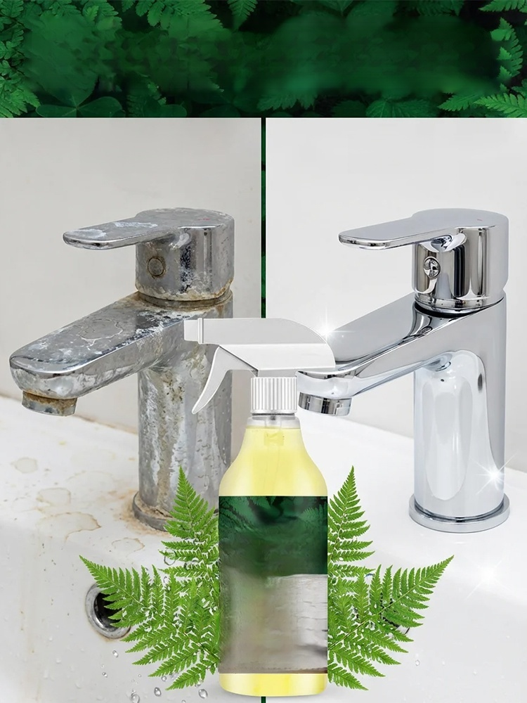 Oxalic acid cleaner