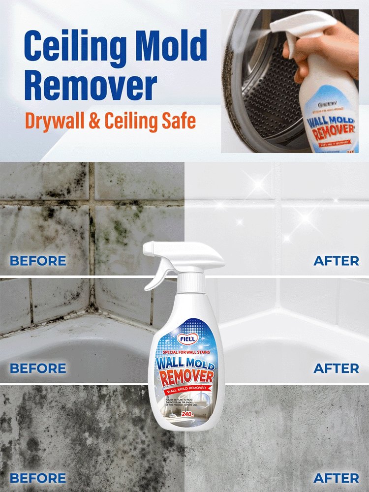1 Second Wall Mold Removal