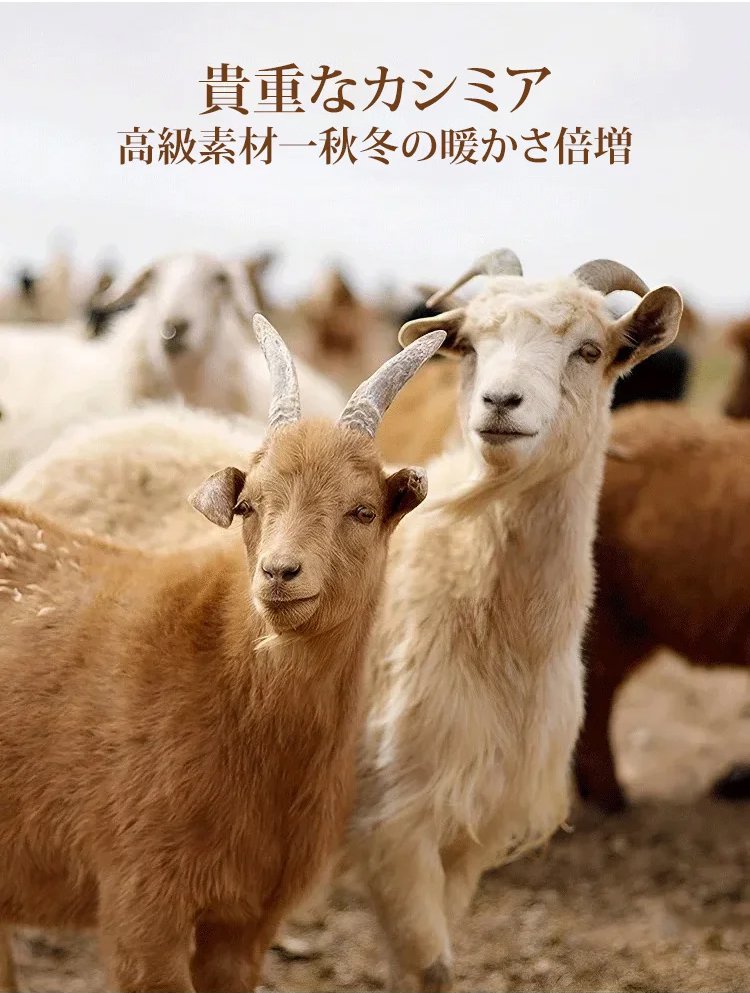 1326161-JP-JS-潮流短款秋冬毛呢大衣_12.jpg