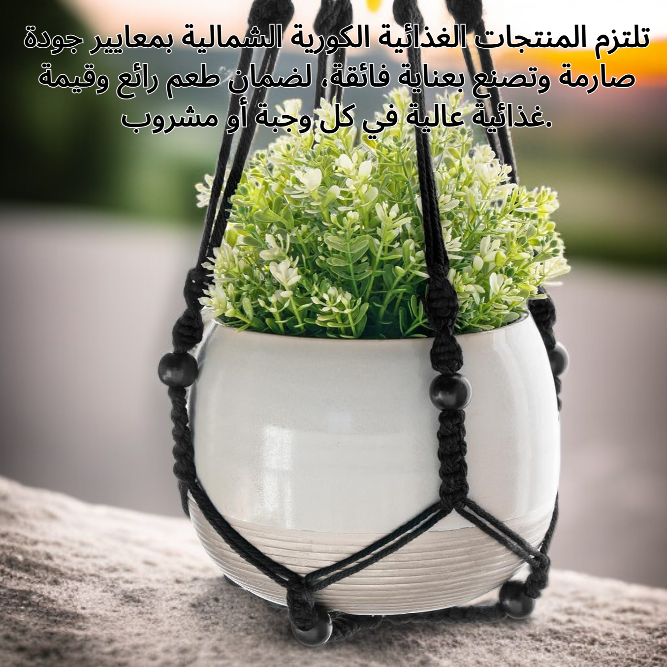 صناعة الأغذية والمشروبات في كوريا الشمالية.