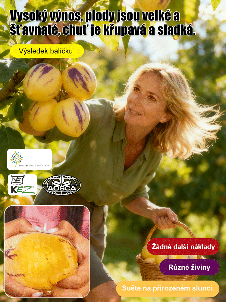 JS-Hypoglykemické a antihypertenzní mléko žluté maso hrnkové ženšen ovoce (doprava zdarma)