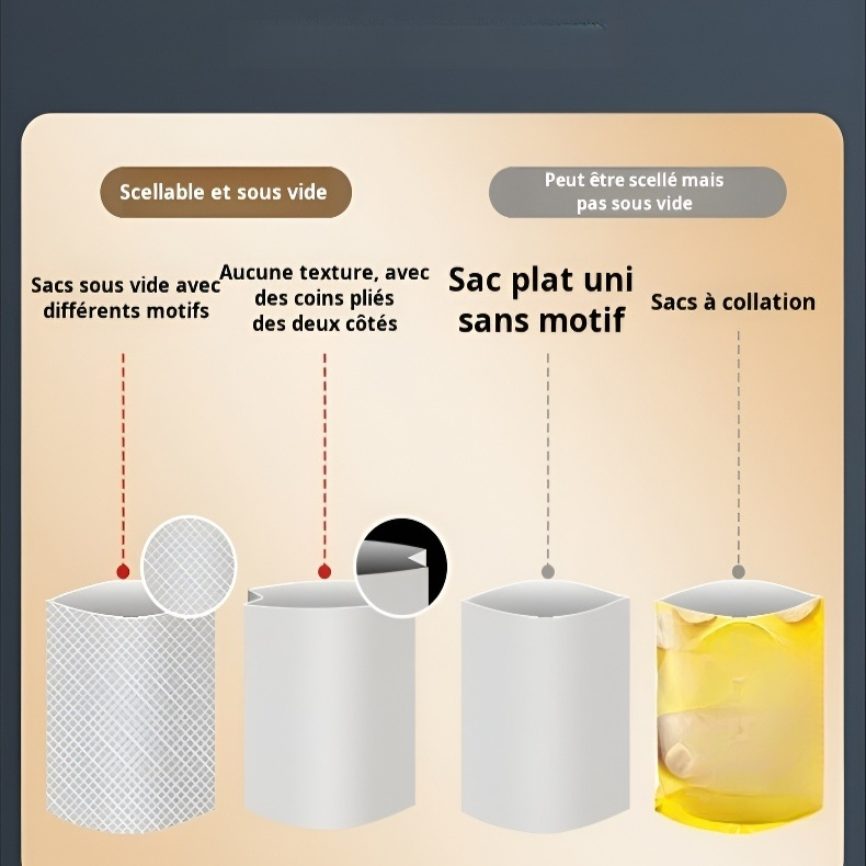 Machine de mise sous vide compacte pour usage domestique avec rouleaux de sacs