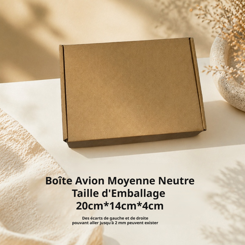 Adaptateur 12V 2A avec câble d'alimentation