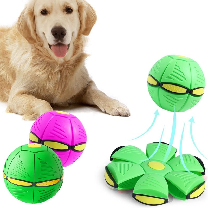 마술 개 장난감 플라이볼 이상한 마술 공