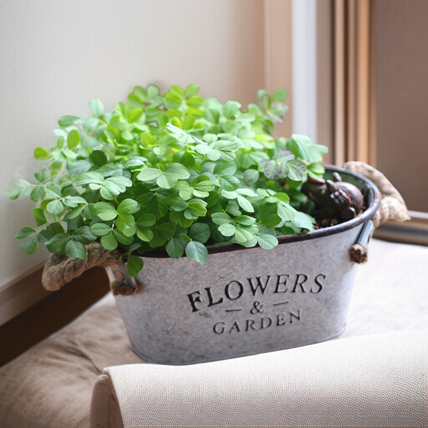 Amerikanischer Landhausstil Eisen Blumentopf Modisch Kreativ