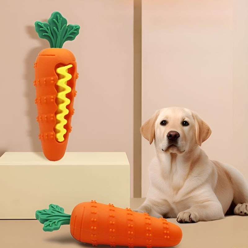 Dog Durable Chew Toy