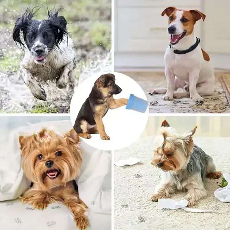 ทำความสะอาดกรงเล็บสุนัข