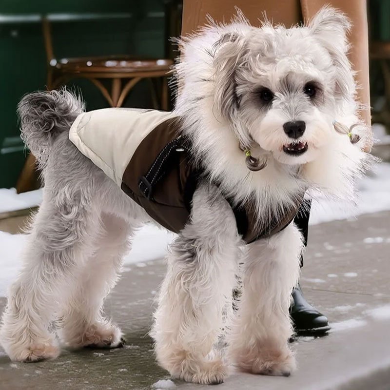 子犬の防寒突撃衣