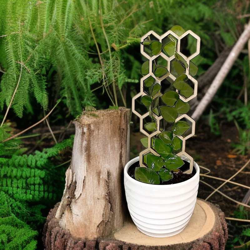 Yegbong Wooden Garden Plant Stand